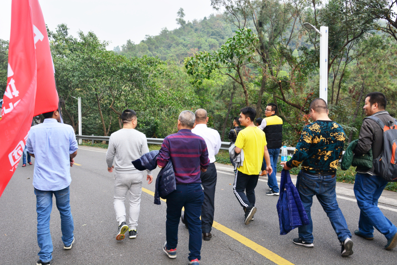 藝光集團元旦登山比賽